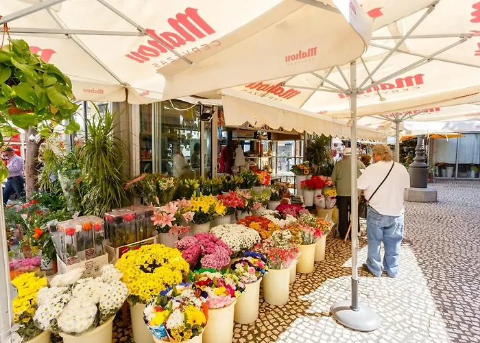 Atico Duplex El Gobernador By Cadiz4rentals Appartement